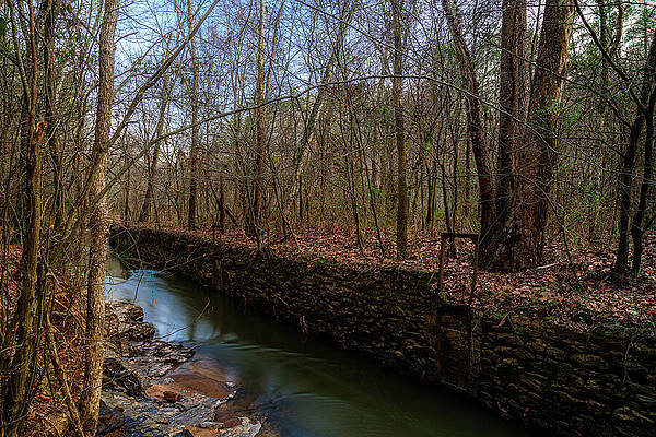 Vibrant Photograph - Olde Rope Mill Raceway, Woodstock, GA by Anthony Hightower