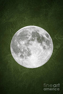 Full Moon on Olive Green Background Wall Art