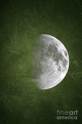 Elegant Crescent Moon on Olive Green Wall Art