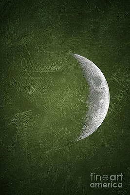 Olive Crescent Moon Wall Art