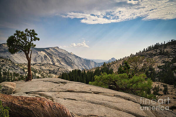 Wall Art featuring the photograph Olmsted Point Yosemite National Park by Abigail Diane Photography