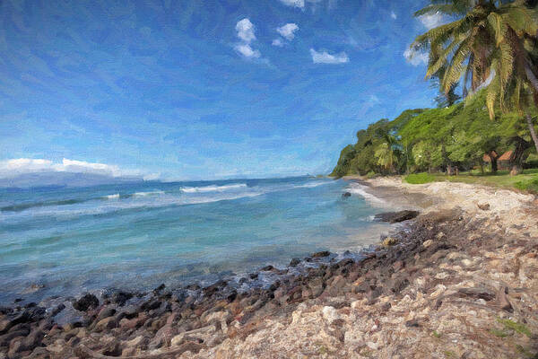 Olowalu Beach by Chris Spencer