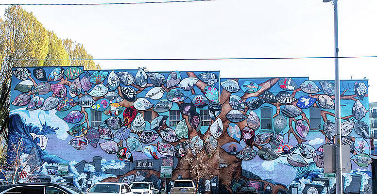 Photograph - Olympia-Rafah Solidarity Mural by Tom Cochran