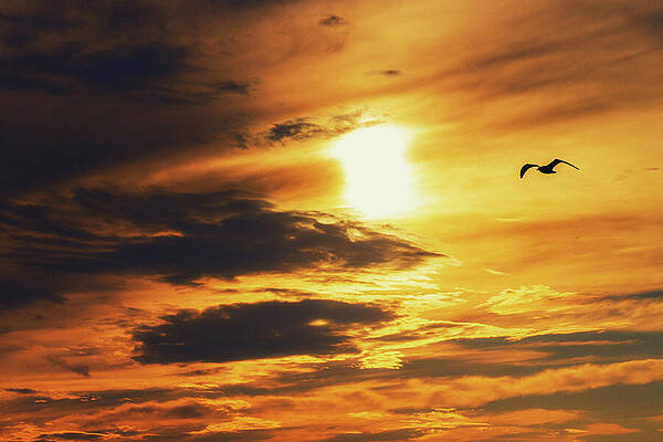 Sky Wall Art featuring the photograph On Approach by Rich Kovach