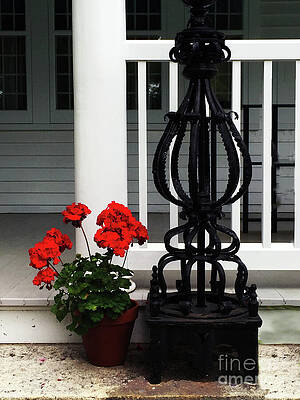 Wall Art featuring the photograph On The Doorstep by Rick Locke - Out of the Corner of My Eye