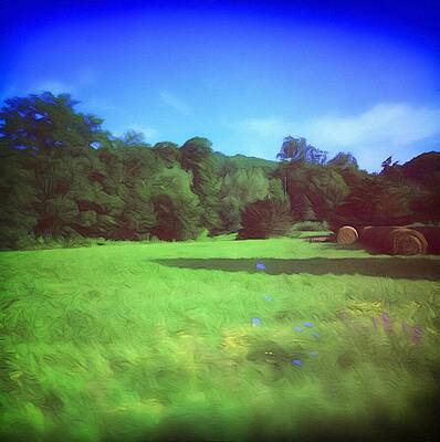 Tranquil Summer Field Wall Art