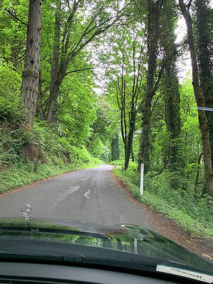 Wall Art featuring the photograph On The Road by Juliette Becker