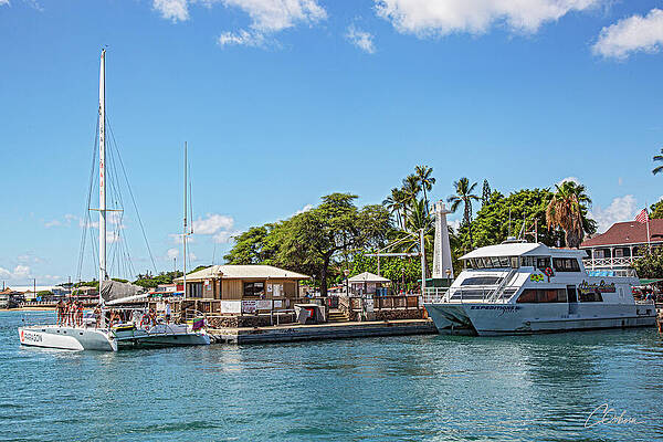 Sky Wall Art featuring the photograph One Day At The Harbor by Charlie Osborn