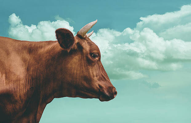 Happy Wall Art featuring the painting One Fine Day by Laura Fasulo