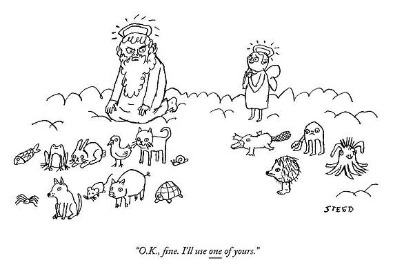 Wildlife Drawing - One Of Yours by Edward Steed