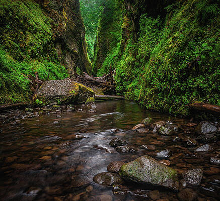 Moody Photograph - Oneonta Gorge With Boulder, Oregon by Abbie Warnock