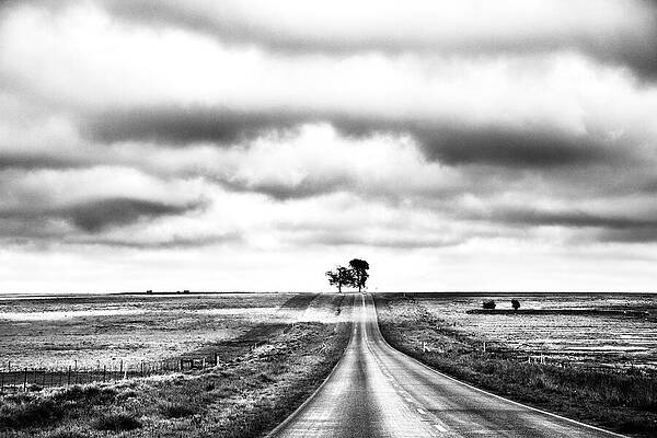 Wall Art featuring the photograph Onward by Mia Badenhorst