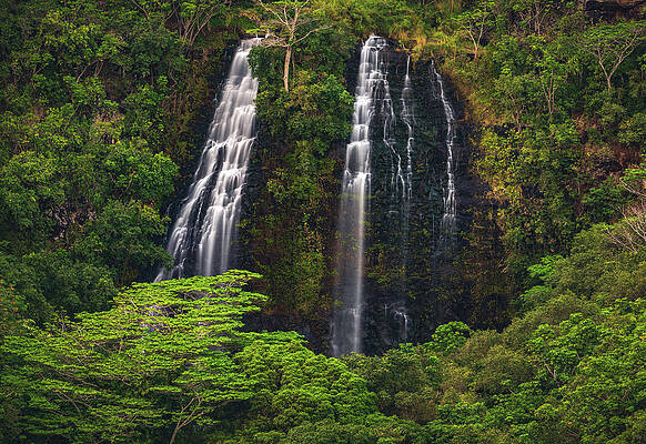 Paradise Photograph - 'Opaeka'a Falls Closeup - Kauai, Hawaii by Abbie Warnock