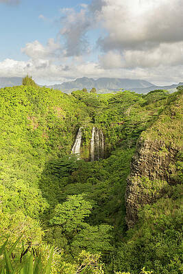 Wilderness Wall Art featuring the photograph Opaekaa Falls On Kauai, Hawaii by Nancy Gleason