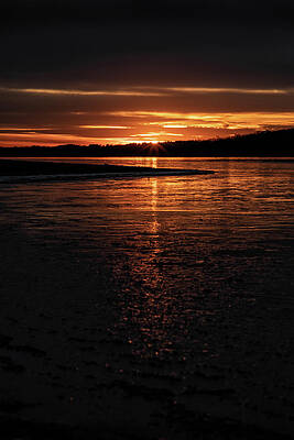 Pennsylvania Wall Art featuring the photograph Orange And Black by Todd Wilkinson