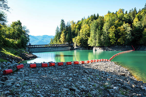 Fall Wall Art featuring the photograph Orange Barrels On A Green Lake by Tom Cochran