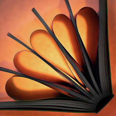 Dramatic Wall Art featuring the photograph Orange Book Abstract by Elvira Peretsman