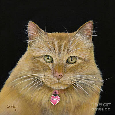 Painting - Orange Cat by Shirley Dutchkowski
