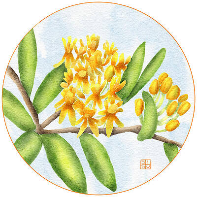 Flower Wall Art featuring the digital art Orange Milkweed Flowers by Snow Iris Studio