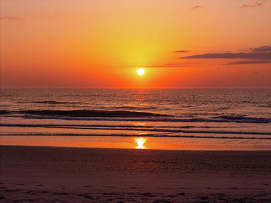 North Carolina Wall Art featuring the photograph Orange Sky Sunrise by Oceanic SkyView