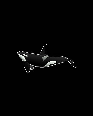Whale Wall Art featuring the digital art Orca Killer Whale by Flippin Sweet Gear