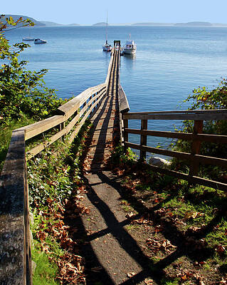 Ocean Wall Art featuring the photograph Orcas Shadows by Barbara Siegel