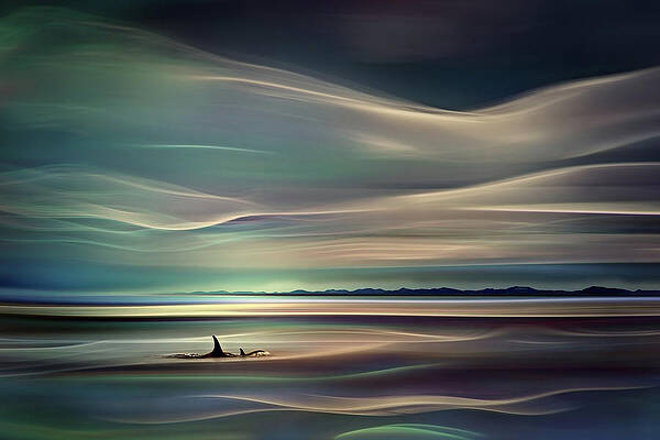 Impressionism Photograph - Orcas by Ursula Abresch