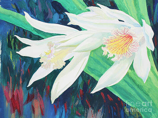 Garden Painting - Orchids - Thunia Alba by Ren Yu