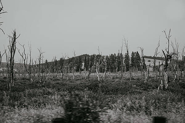 Dramatic Photograph - Oregon Backroads by Nova Rae