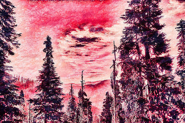 Mountain Photograph - Oregon Cascades With Lichen Texture by Bruce Block