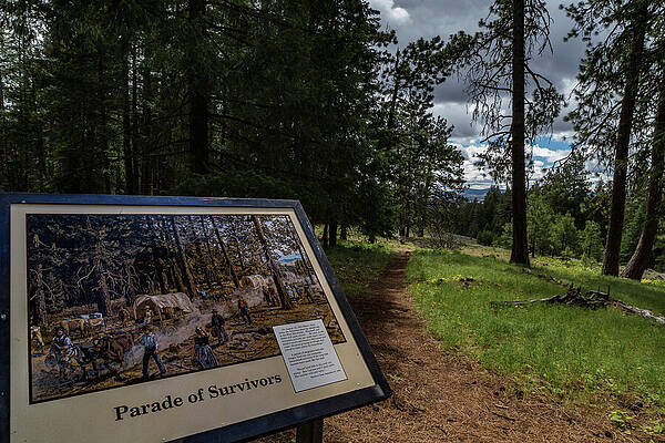Oregon Photograph - Oregon Trail Time Travel by Tim Lyden
