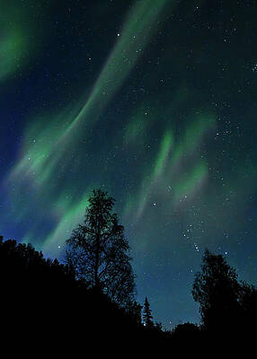 Orions Lights by Harry Banks