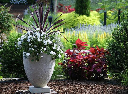 Wall Art featuring the photograph Ornate Vase Amidst Garden Splendor by Deb Beausoleil