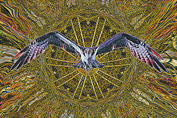Nature Wall Art featuring the mixed media Osprey Design by David McKinney