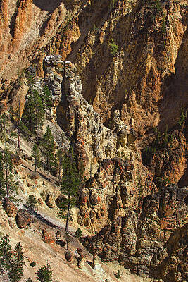 Landscape Photograph - Osprey Nests In The Grand Canyon Of The Yellowstone, Wyoming by Abbie Warnock