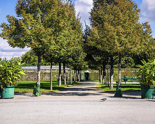 Tree Photograph - Osterreichische Galerie Belvedere And Pigeon by Robert Niemeier