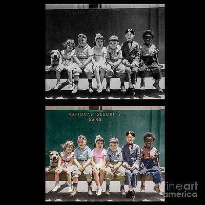 Funny Wall Art featuring the photograph Our Gang  #1 by Franchi Torres