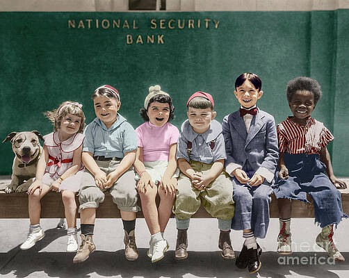 Funny Wall Art featuring the photograph Our Gang by Franchi Torres