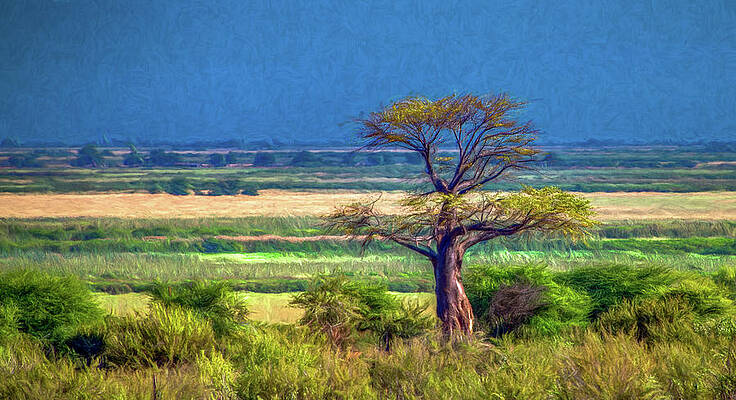 Natural Photograph - Out Of Africa, A Botswana Landscape by Marcy Wielfaert