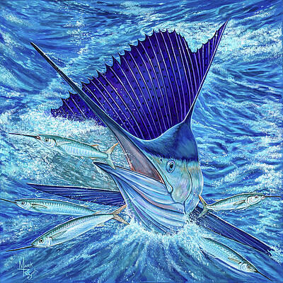 Sailfish Chasing Its Prey Print