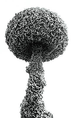 Wall Art featuring the photograph Out Of Sight Out Of Mind by Joe Schofield