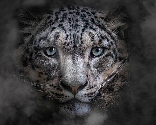 Landscape Photograph - Out Of The Mist by Chris Boulton