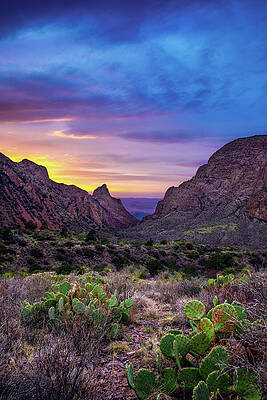 Wall Art featuring the photograph Out The Window by KC Hulsman
