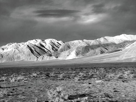 Wall Art featuring the photograph Out West At The Last Chance Range by Joe Schofield