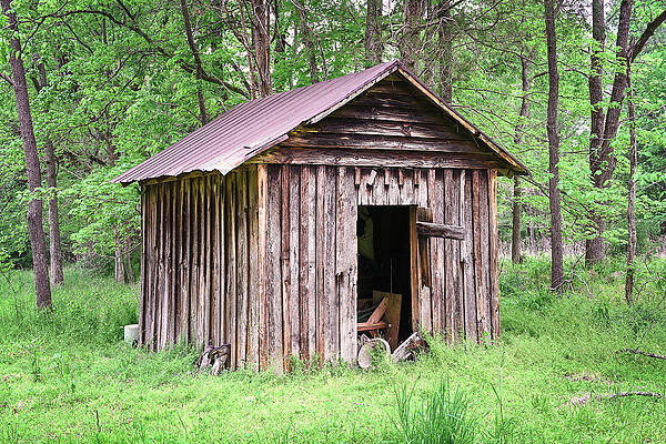Wall Art featuring the photograph Outbuilding by Steven Nelson