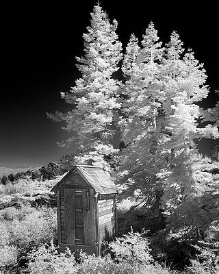 Wall Art featuring the photograph Outhouse On Mills Peak - Plumas County California - Infrared by Mike Lee
