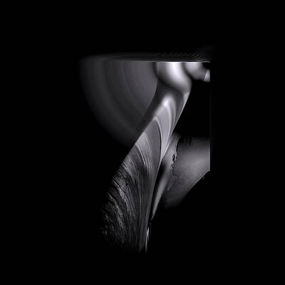 Abstract Silhouette on Black Wall Art