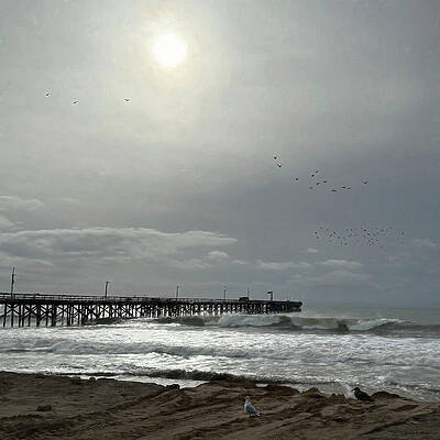 Overcast Day by the Pier Wall Art