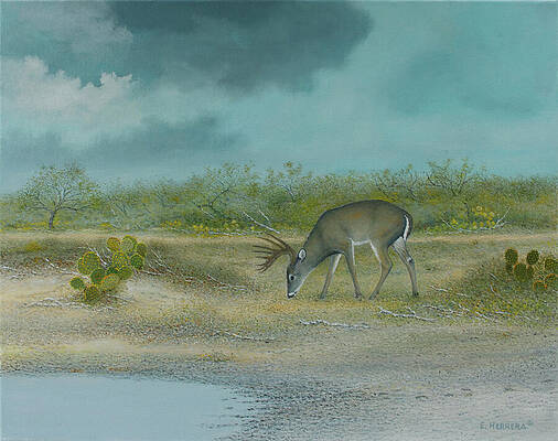 Overcast by Eleazar Herrera