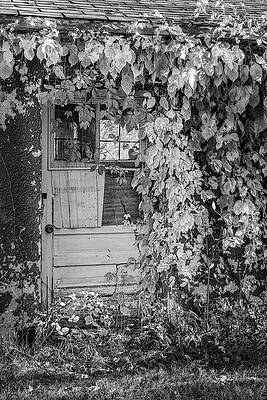 Country Photograph - Overgrown BW by Susan Candelario